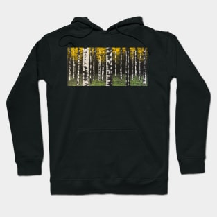 Black Birch Trees with Golden Leaves Hoodie